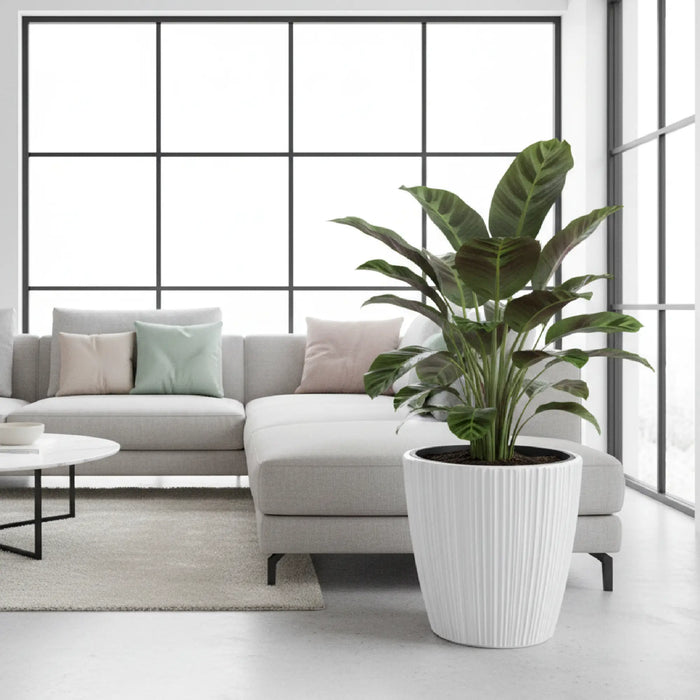 Matera Oro Round 30 x 30 cm - color blanco - ambiente #ia - Tumatera.co