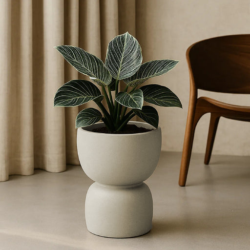 Matera Duala 40 x 48 cm - ambiente #ia - Tumatera.co