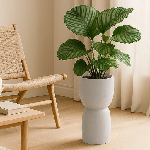 Matera Duala 40 x 54 cm - ambiente #ia - Tumatera.co