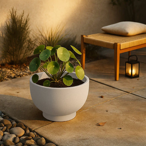 Matera Vivo 40 x 26 cm - ambiente #ia - Tumatera.co