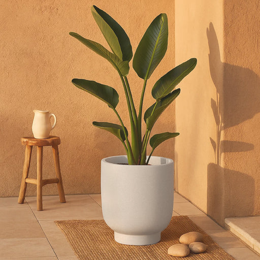 Matera Vivo 40 x 40 cm - ambiente #ia - Tumatera.co