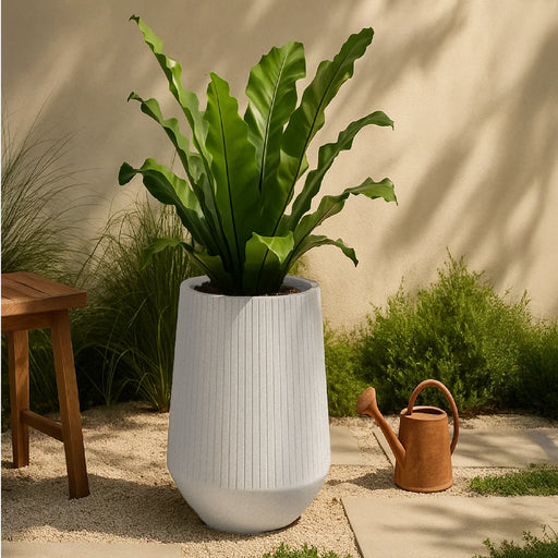 Matera Coro Bowl High 40 x 53 cm - ambiente #ia - Tumatera.co