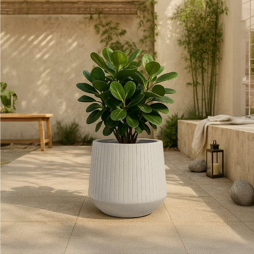 Matera Coro Bowl 48 x 42 cm - ambiente #ia - Tumatera.co