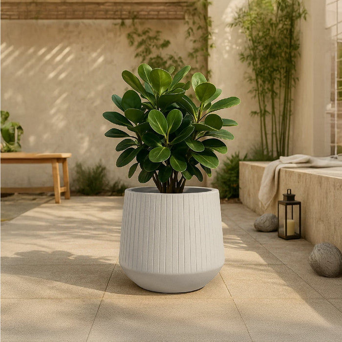 Matera Coro Bowl 48 x 42 cm - ambiente #ia - Tumatera.co
