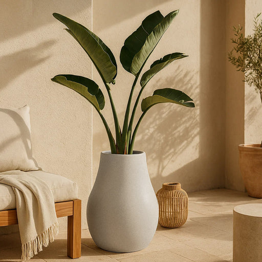 Matera Evolia 40 x 50 cm - ambiente #ia - Tumatera.co