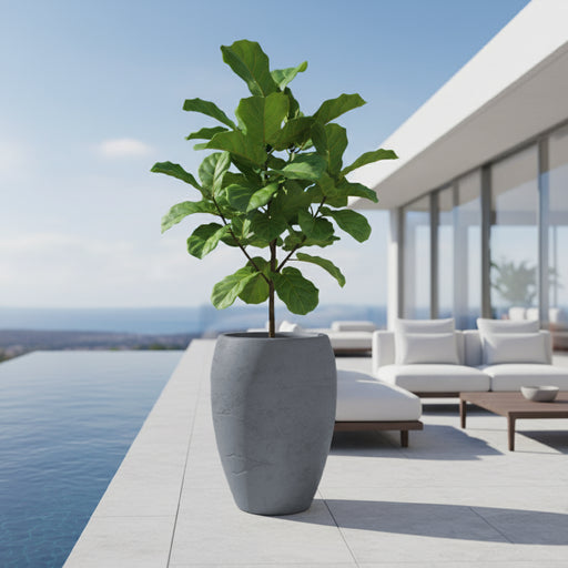 Matera Cano High 40 x 54 cm - ambiente #ia - Tumatera.co