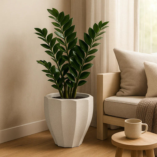 Matera Rona 40 x 46 cm - ambiente #ia - Tumatera.co