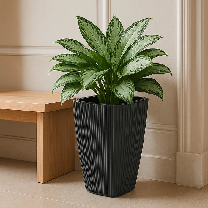 Matera Oro Square 29 x 45 cm gris - ambiente #ia - Tumatera.co