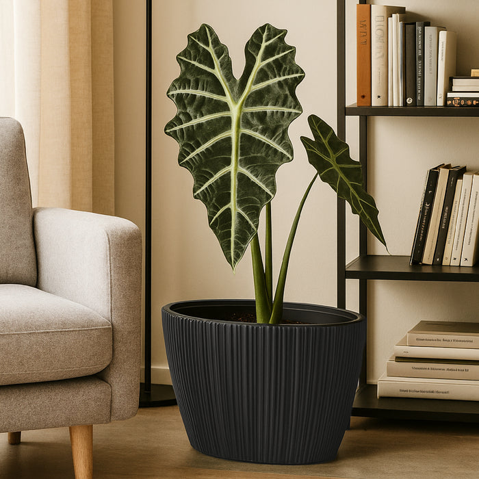 Matera Oro Oval 59 x 38 gris - ambiente #ia - Tumatera.co