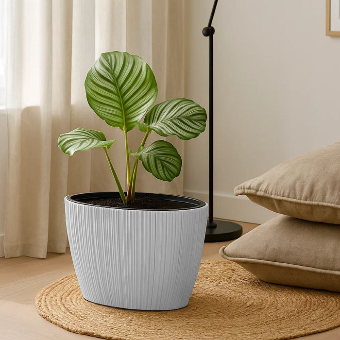 Matera Oro Oval 59 x 38 blanco - ambiente #ia - Tumatera.co