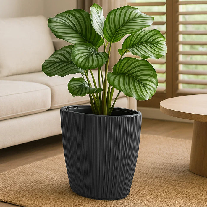 Matera Oro Oval 59 x 54 cm gris - ambiente #ia - Tumatera.co