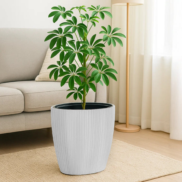 Matera Oro Oval 59 x 54 cm blanco - ambiente #ia - Tumatera.co