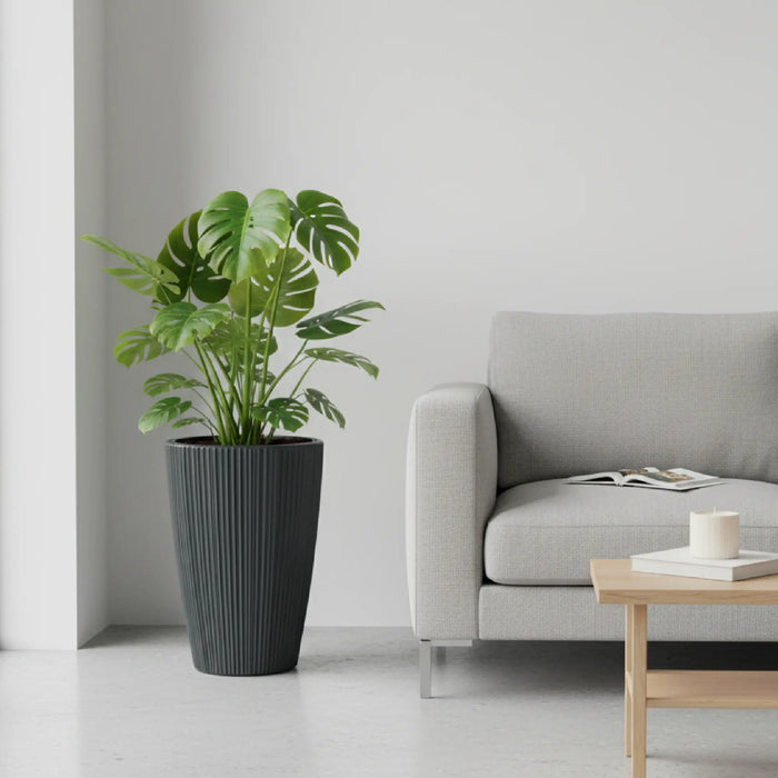 Matera Oro Round 30 x 39 cm - color gris oscuro ambiente #ia - Tumatera.co