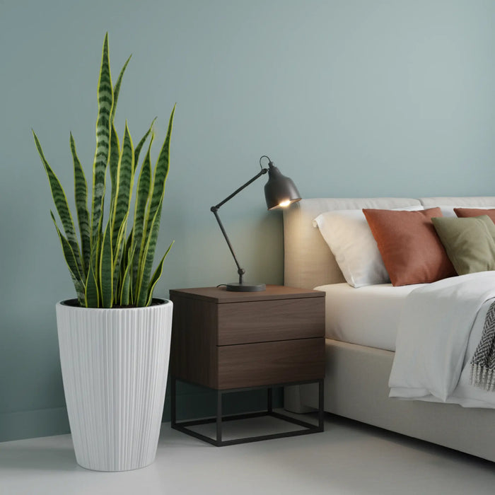 Matera Oro Round 30 x 39 cm - color blanco ambiente #ia - Tumatera.co