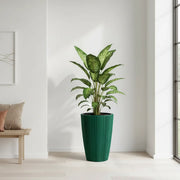 Matera Oro Round 39 x 55 cm verde piña - ambiente #ia - Tumatera.co
