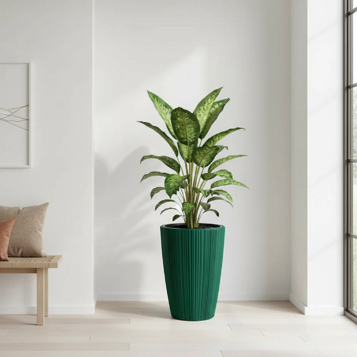 Matera Oro Round 39 x 55 cm verde piña - ambiente #ia - Tumatera.co