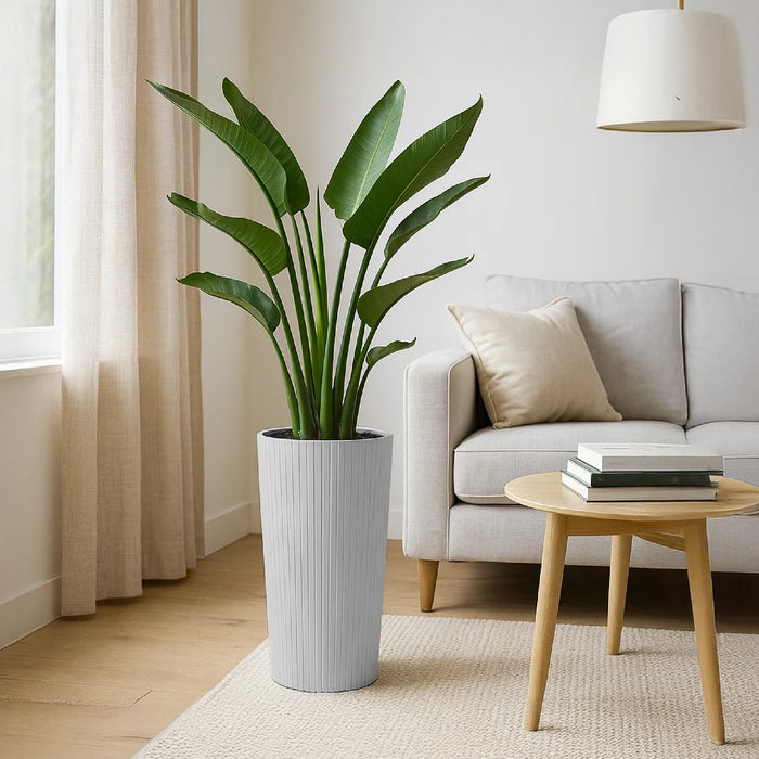 Matera Lamia Slim 25 x 48 cm blanco - ambiente #ia - Tumatera.co