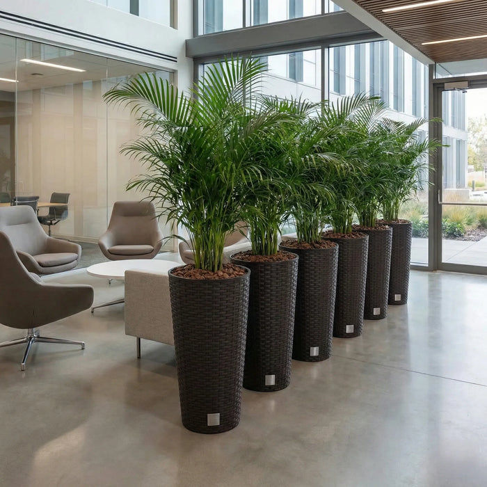 Matera Ratán Tubus 57 Cm