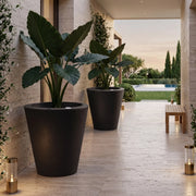 Matera Dot 66 X 66 Cm - ambiente caviar black #ia - Tumatera.co