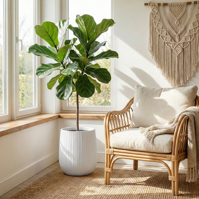 Matera Gota 32 x 37 cm - ambiente #ia - Tumatera.co