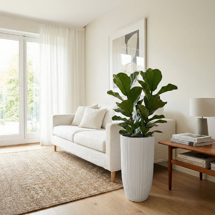 Matera Conica Alta 22 x 46 cm - ambiente  #ia - Tumatera.co