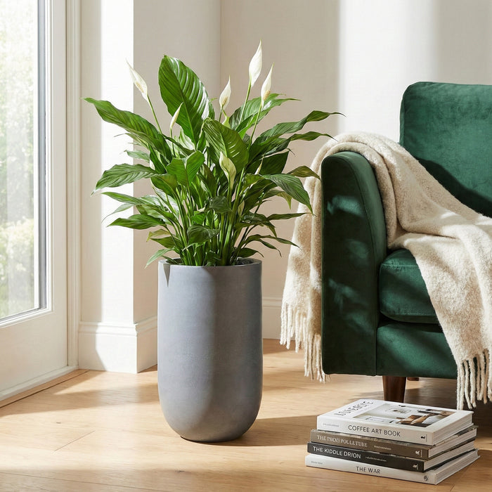 Matera Gota Alta 35 x 55 cm - ambiente #ia - Tumatera.co