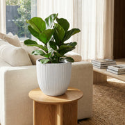 Matera Conica 27 x 26 cm - ambiente #ia - Tumatera.co