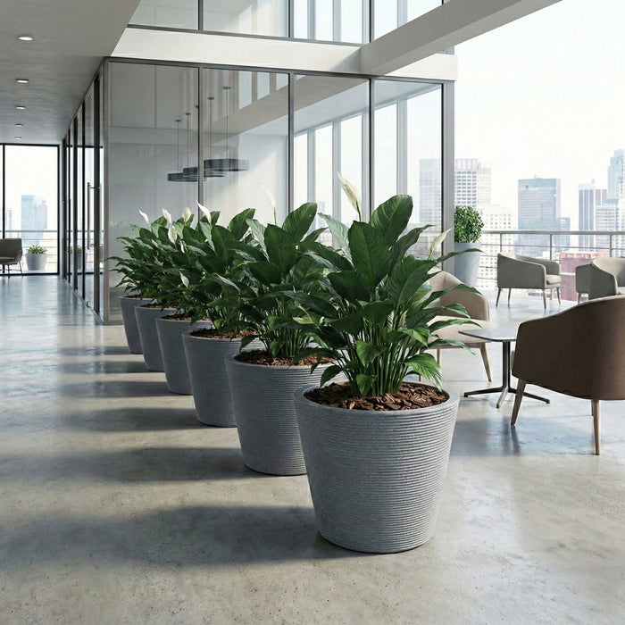 Matera Polietileno 57 X 45 Cm