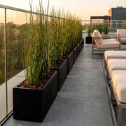 Jardinera Polietileno 59 X 28 Cm - ambiente #ia - Tumatera.co