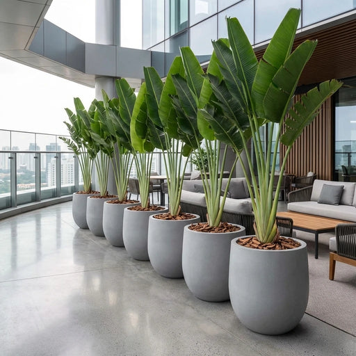 Matera Conica Cemento 50 Cm - ambiente #ia - Tumatera.co