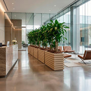 Jardinera Polietileno 100 X 60 Cm - ambiente #ia - Tumatera.co