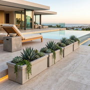 Jardinera Cemento Con Borde 80 X 35 Cm - ambiente #ia - Tumatera.co