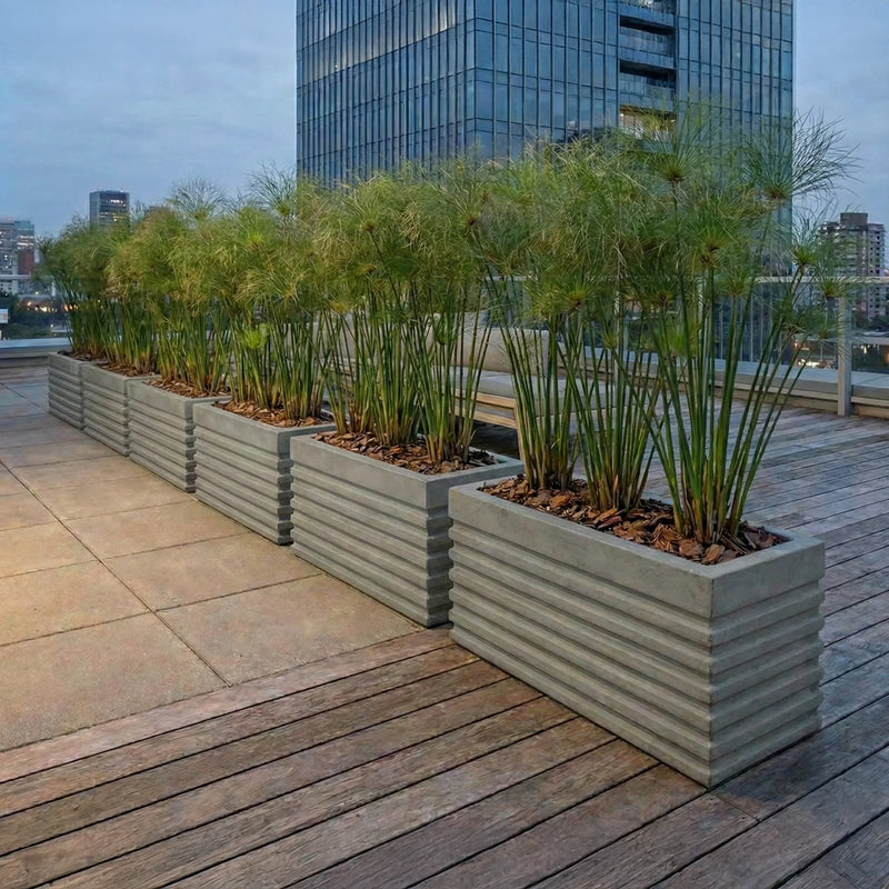 Jardinera Cemento Acanalada 80 X 35 Cm - ambiente #ia - Tumatera.co