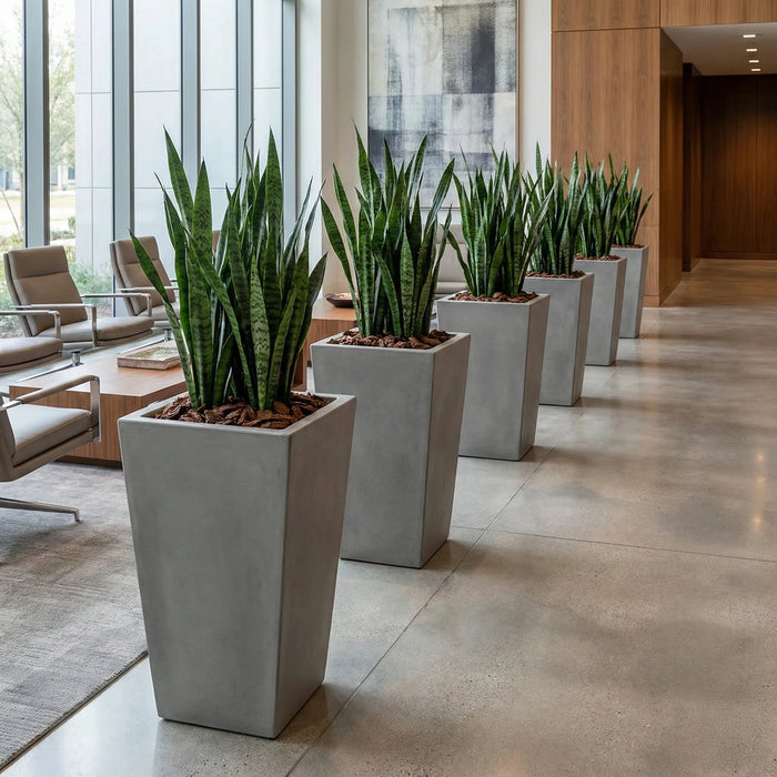 Matera Piramidal Cemento 70 Cm