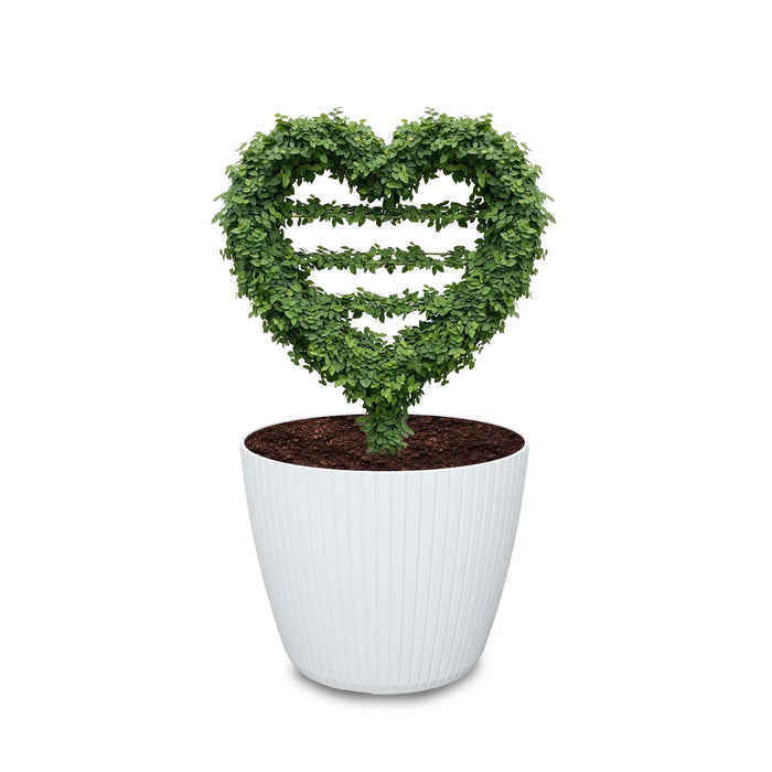 Estructura Topiario Corazón 25 Cm - ambiente #ia - Tumatera.co