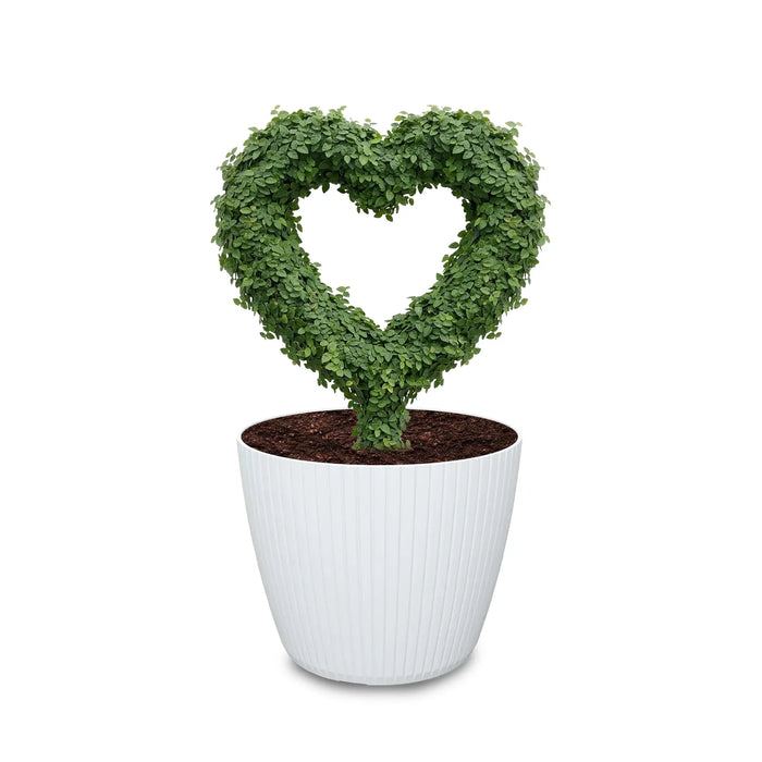 Estructura Topiario Corazón 26 Cm - ambiente #ia - Tumatera.co