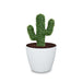 Estructura Topiario Cactus 25 Cm - ambiente #ia - Tumatera.co