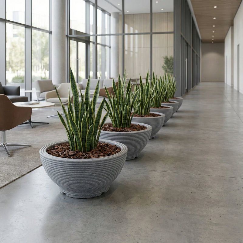 Matera Bowl Polietileno 43 Cm - ambiente #ia - Tumatera.co