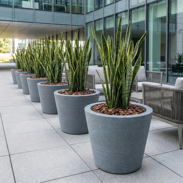 Matera Polietileno 59 X 59 Cm