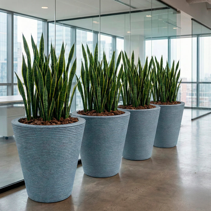 Matera Polietileno 59 X 59 Cm