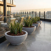 Matera Bowl Polietileno 77 Cm - ambiente #ia - Tumatera.co