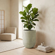 Matera Conica Cemento 73 Cm - ambiente #ia - Tumatera.co