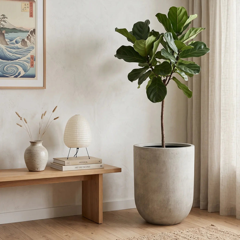 Matera Conica Cemento 80 Cm - ambiente #ia - Tumatera.co