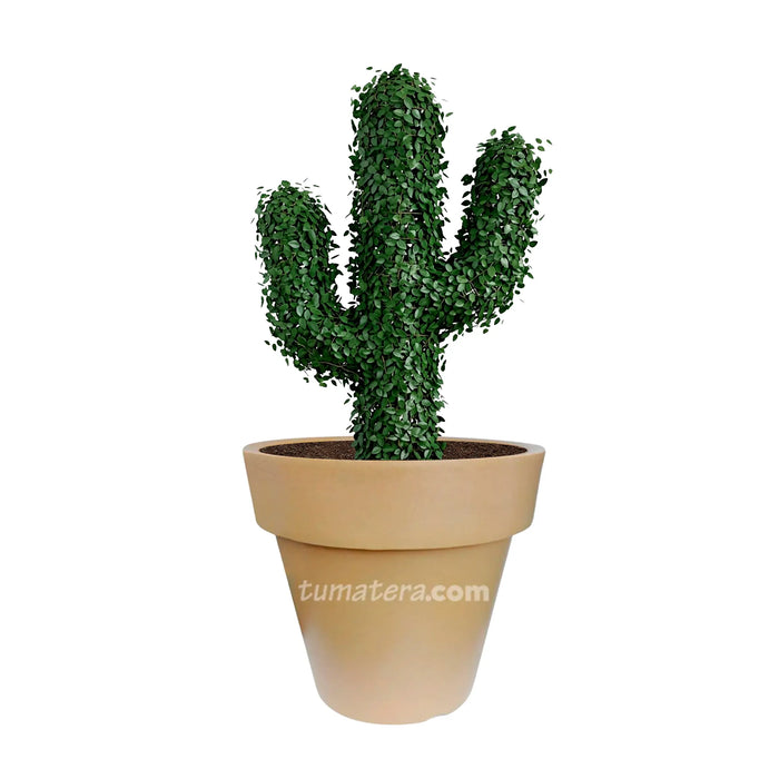 Estructura Topiario Cactus 50 Cm - ambiente #ia - Tumatera.co