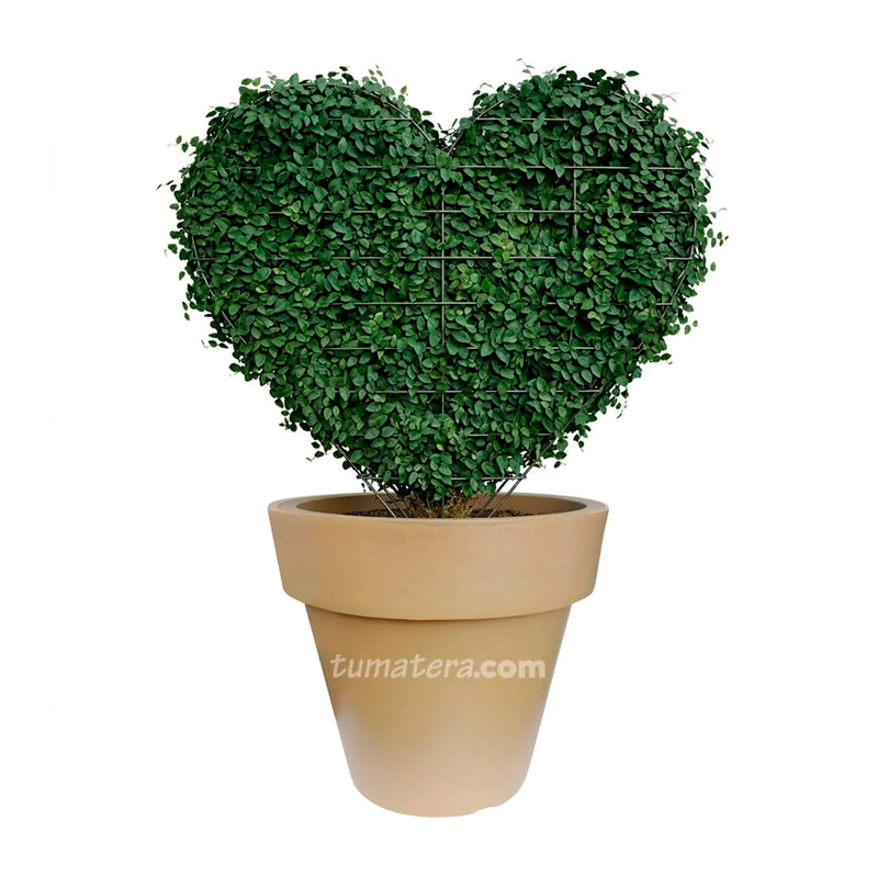 Estructura Topiario Corazón 53 Cm - ambiente #ia - Tumatera.co