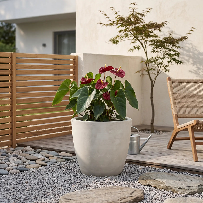 Matera Conica Cemento 42 Cm - ambiente #ia - Tumatera.co