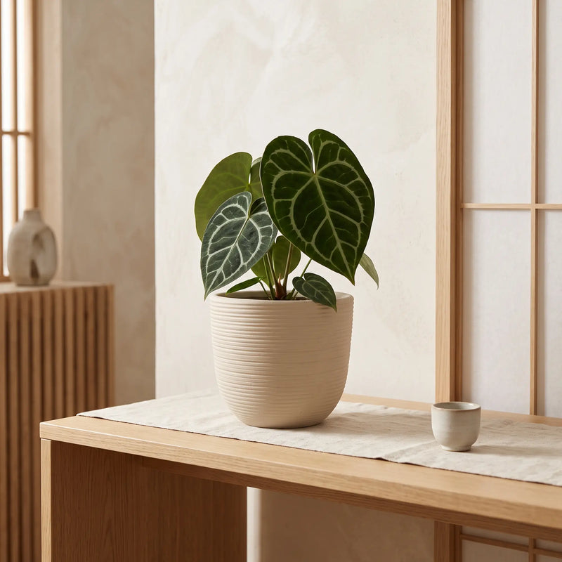 Matera en Cerámica Acanalada Cónica 22 cm - ambiente #ia arena - Tumatera.co