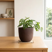 Matera en Cerámica Acanalada Cónica 22 cm - ambiente #ia café - Tumatera.co
