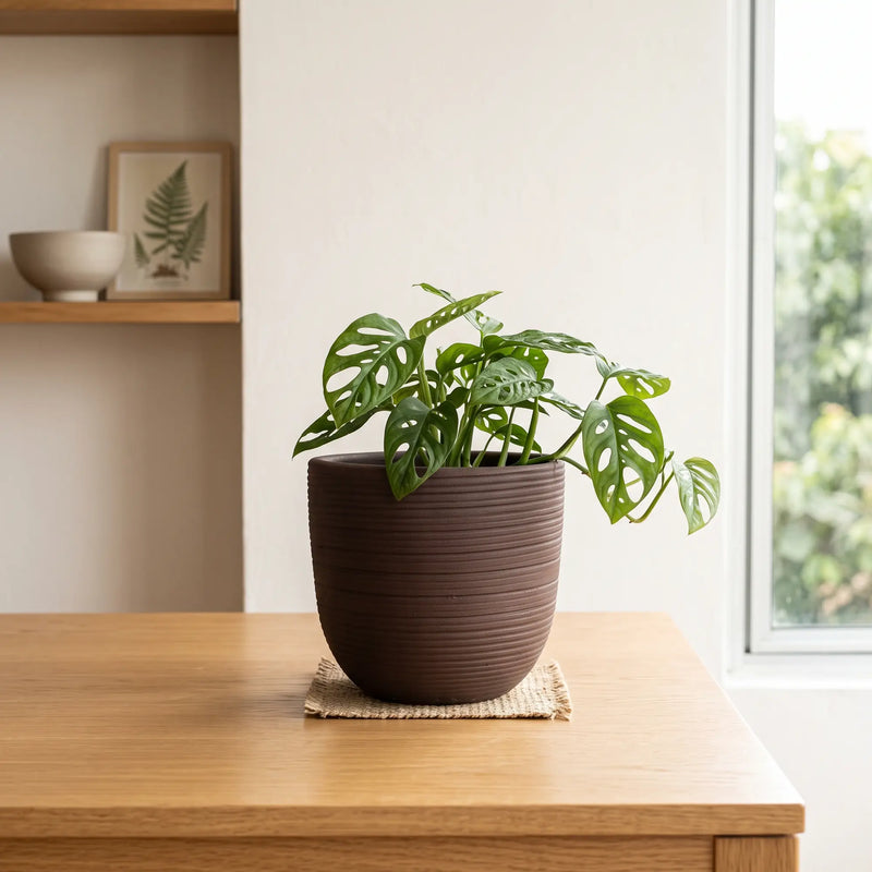 Matera en Cerámica Acanalada Cónica 22 cm - ambiente #ia café - Tumatera.co