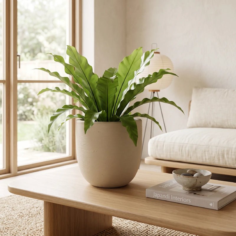Matera en Cerámica Acanalada Cónica 26 cm - ambiente #ia arena - Tumatera.co